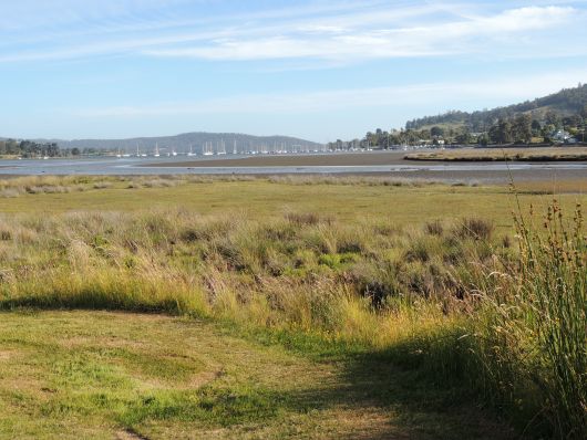 Cygnet Forshore Bird reserve